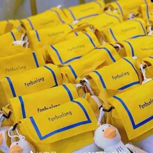 网红帆布包  2022新款女包潮流时尚个性撞色单肩斜挎包  一件代发