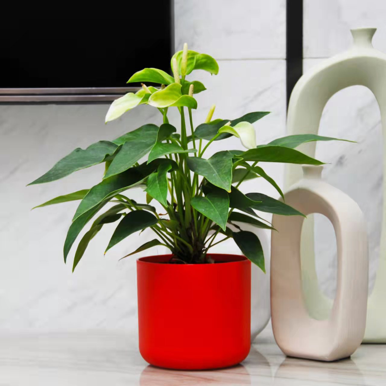 微信图片_20211125151515