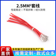 ���Ӿ�2.5mm&sup2;�׾�늳��B�Ӿ� �S�����lֱ�� �h�����|�ߏ�����ȼ
