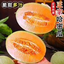 �S����������rˮ��������������]ɳĮ����Ϲ��ܹϽ����10