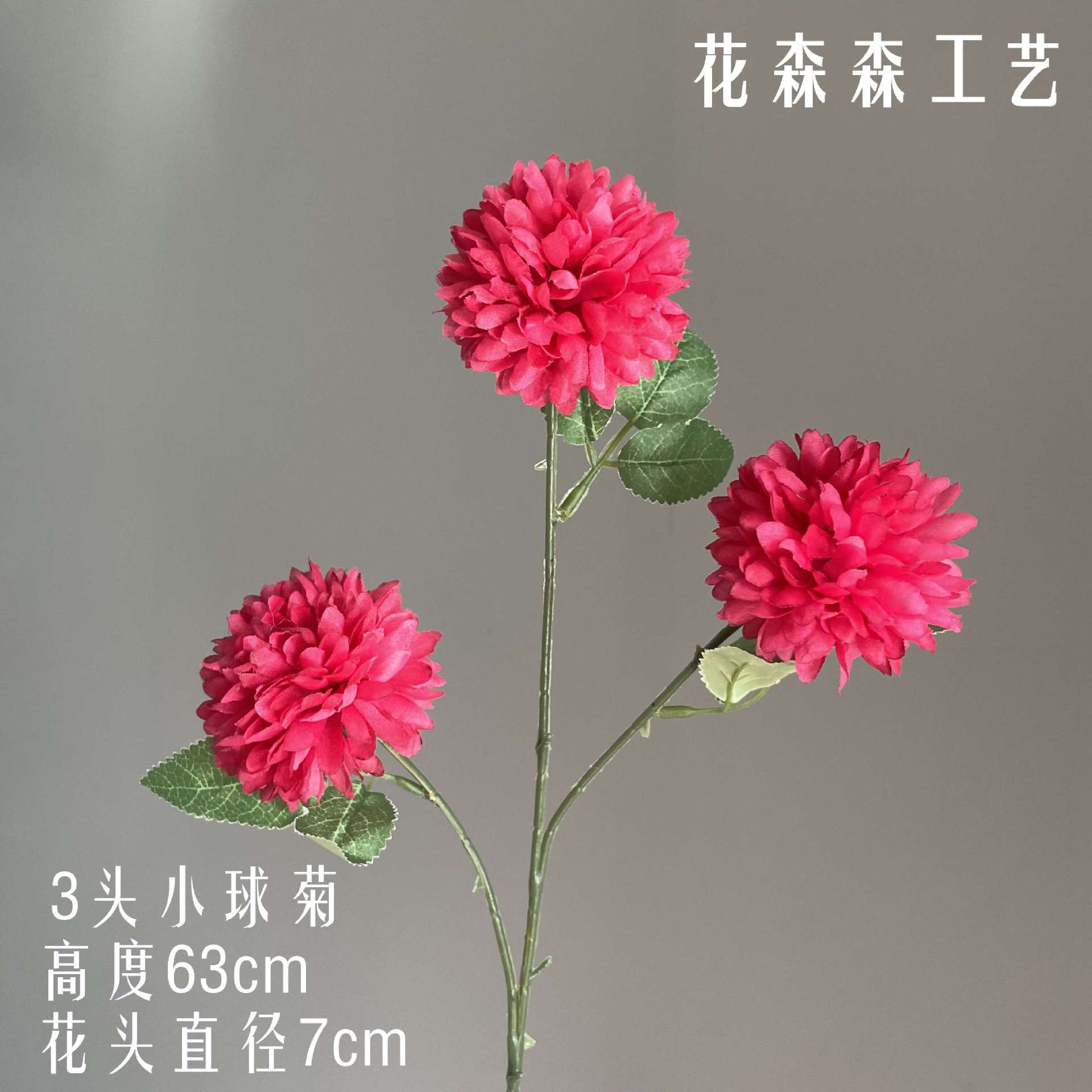 3 작은 공 국화 125012