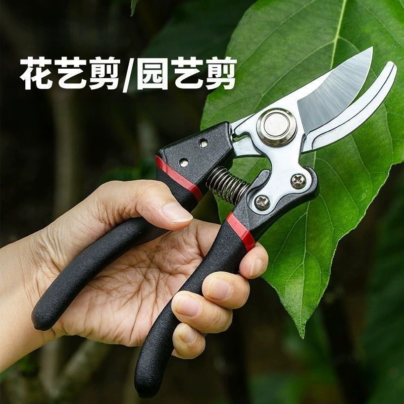 Садовые ножницы для фруктовых деревьев, мощные садовые ножницы, ножницы для сбора цветов и фруктов, специально для толстых веток, многофункциональные и подходят для различных сценариев.