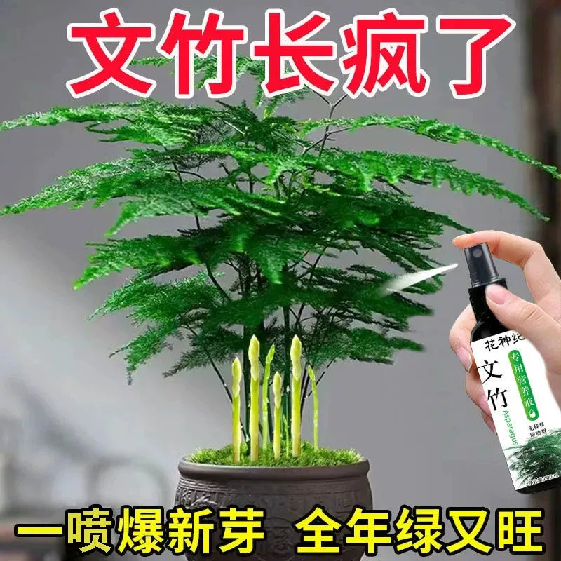 Wenzhu специальный питательный раствор для лечения желтого листового растения