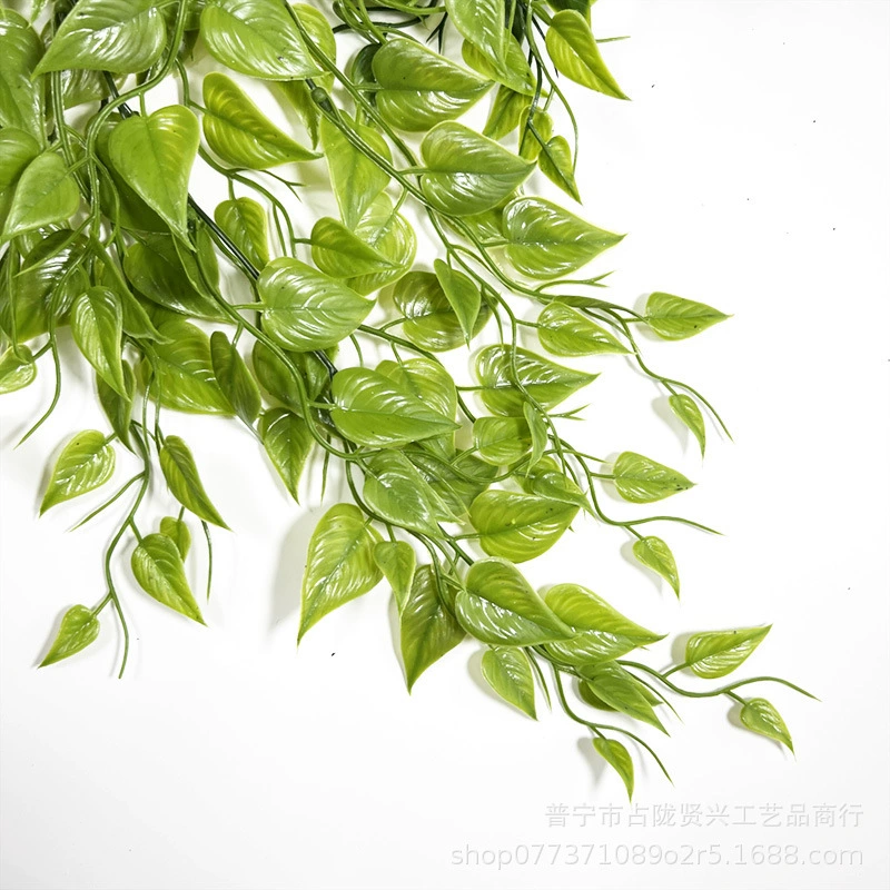 Amazon Simulation Sweet Potato Leaf Goto Wall -mounted Luo Ye decorative store Factory wholesale
