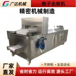 轨道式桃子去核机 桃子挖核机   厂家直发商用不锈钢水果脱核机