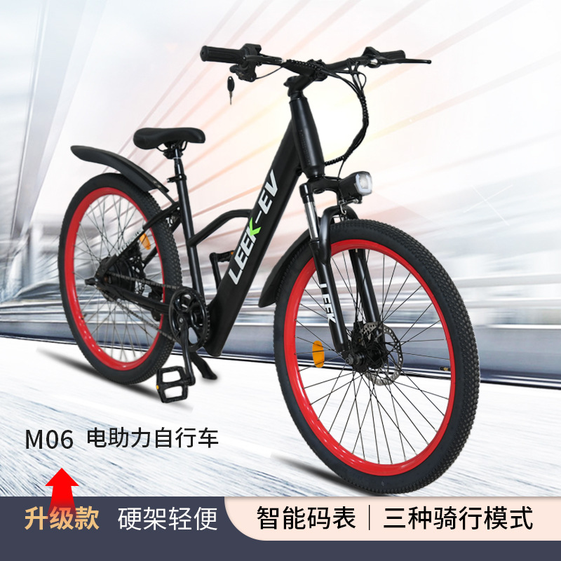 Electric bike for adults