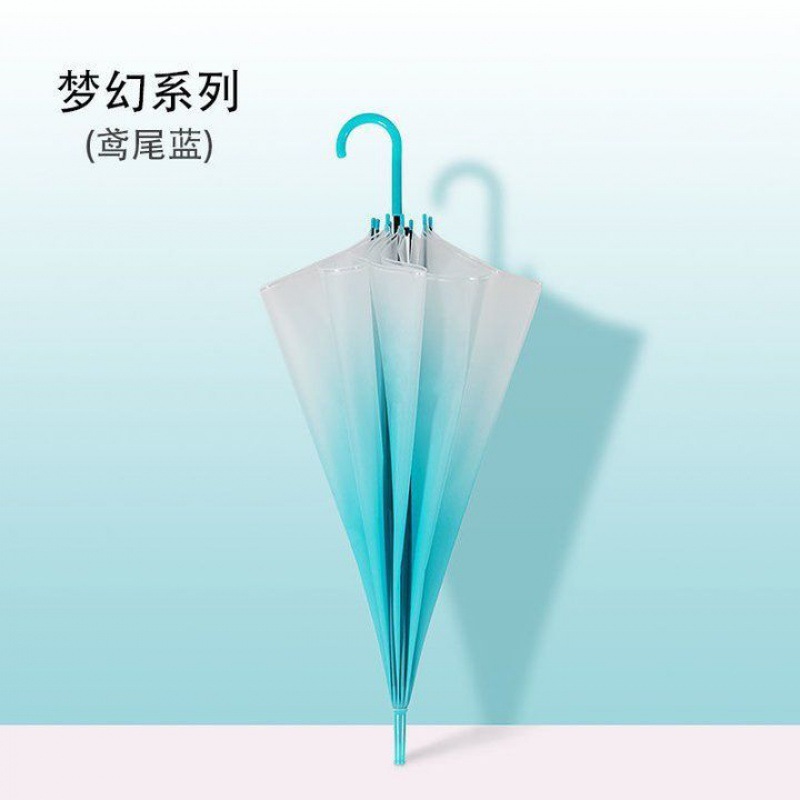 夢抝-鳶屗藍（圱級カレー凅窾）