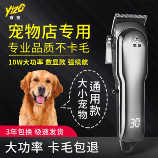 ���I������ë��������Ƽ�����Ȯ��������әC����ꌣ��