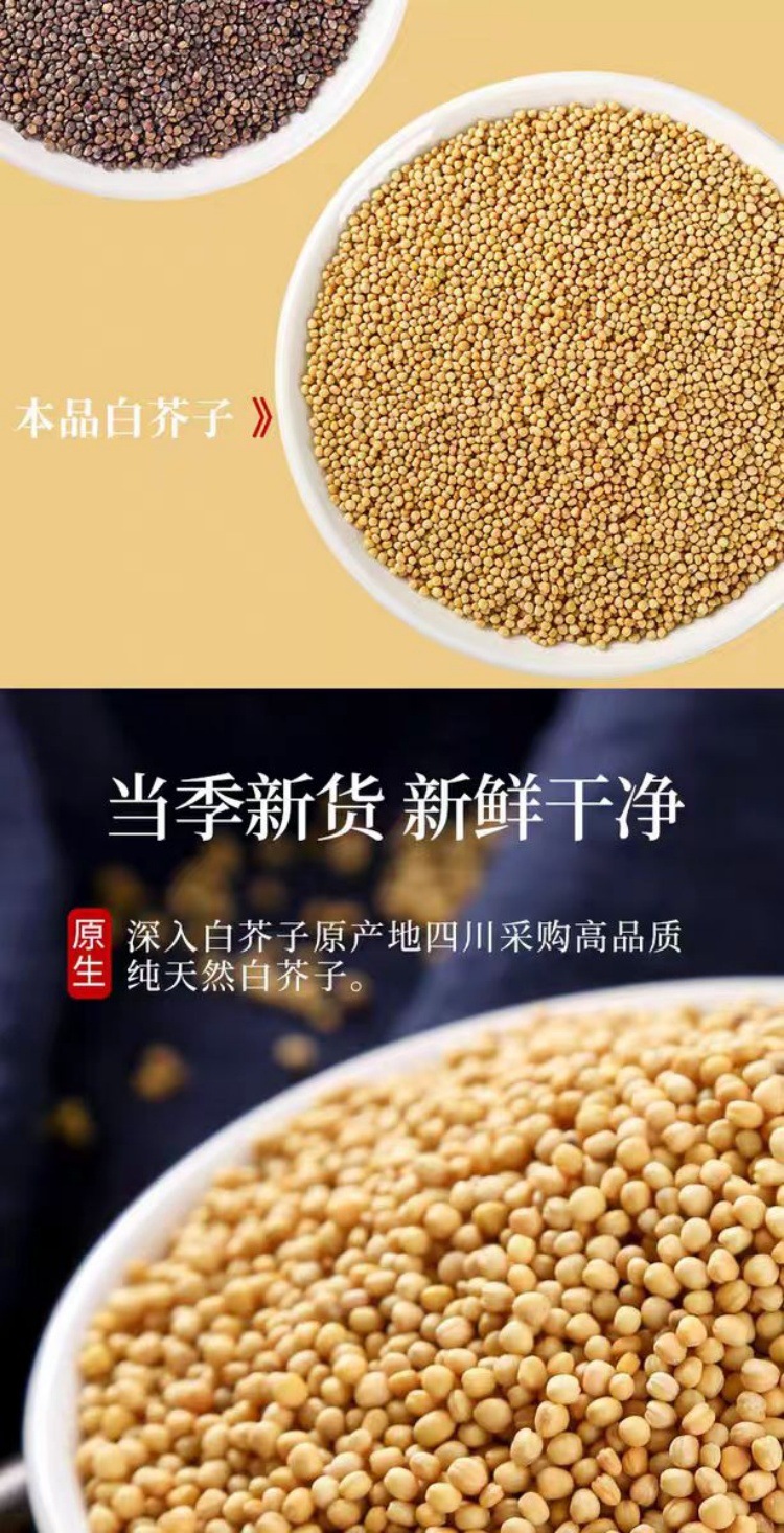 Bai Jie Zi (Sinapis alba) — Sichuan White Mustard Seed, Dried Food Herb 500g key features