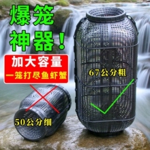 �ش�̖�³����~�\�r�\�S�X�\���~�W��횾W�\�S�X���q��̖�\