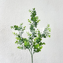 ����Gֲ�ȼ������X�~��c�廨�b�Y�ò�������b��ҾӔ[��