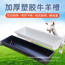 ����ʳ������ˮ��ţ��Ӻ�ƽ���ϲ���ˮ��ι���С���ʳ������ֳ