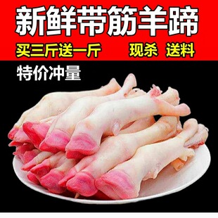 �������r��������r�F���r�Ҹ�����ɽ��d�����_�������l��������