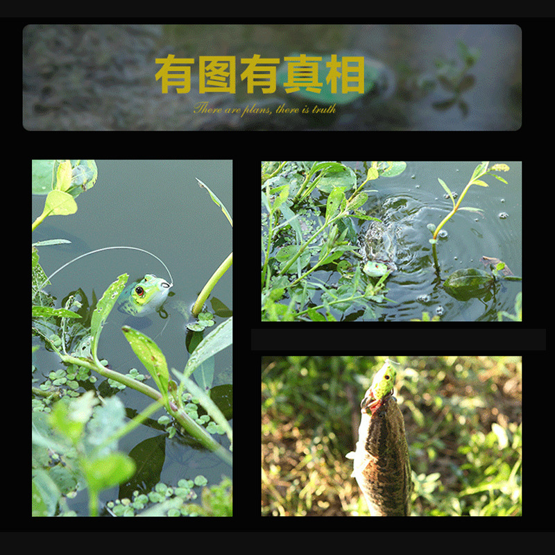 Fabricante al por mayor Luya cebo 12g simulación trueno rana cebo falso con lentejuelas cebo biónico cebo suave