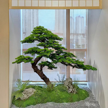 ��Ʒ����Gֲ�٘�ӭ���ɺ������;Ƶ�e������g�������쾰