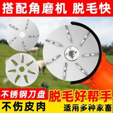 ��ĥ�CÓë���P늄Ӳ��P�����Ƭ�iëţ���ë�����׌���ȥë����