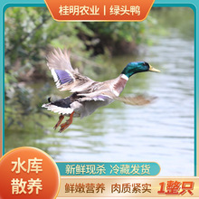 �������ЙC�J�C�F���F�l�ك����]���r�����r��ɢ�B���ӾG�^����