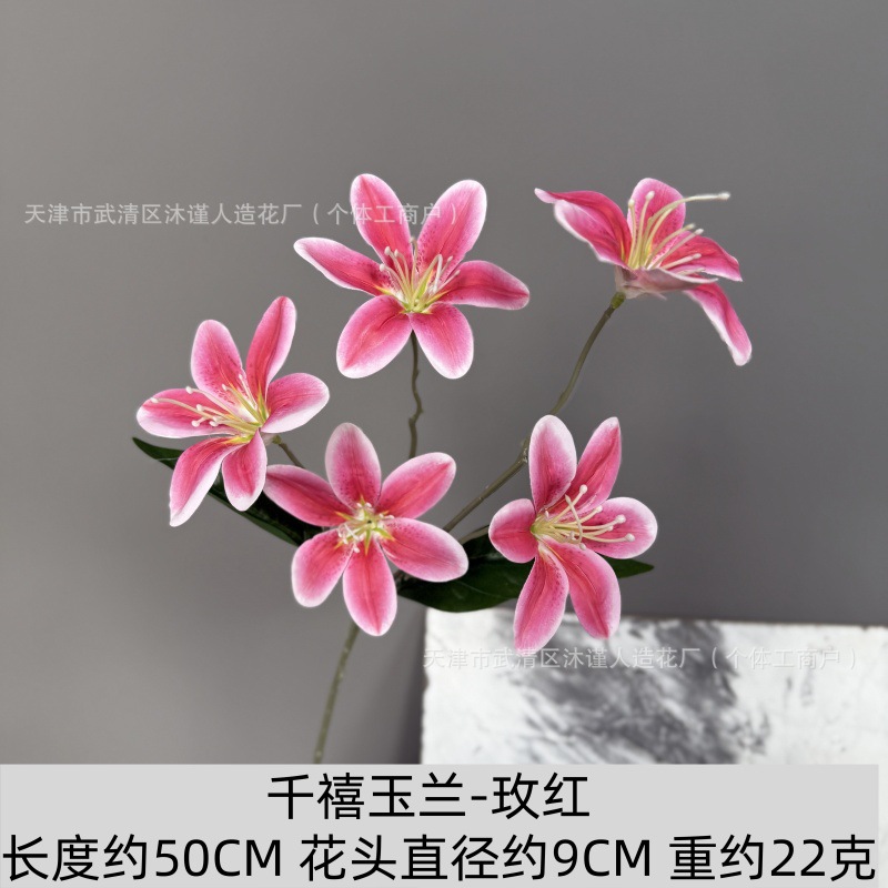 밀레니엄 목련