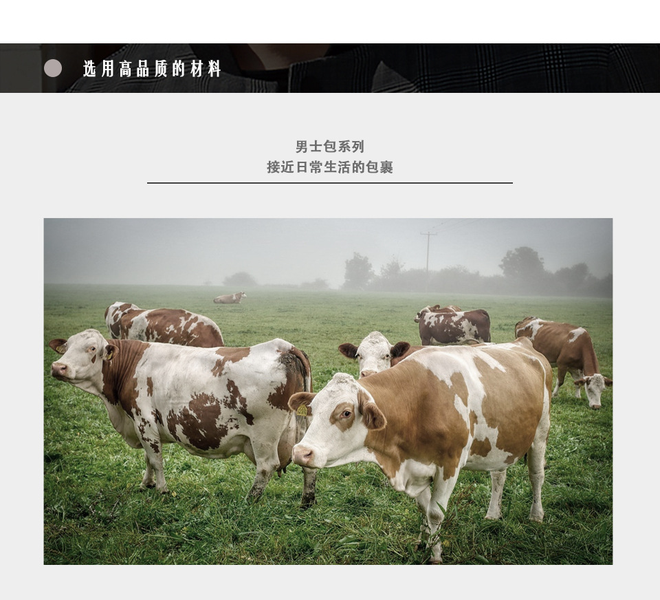3036 Chinese_08.jpg