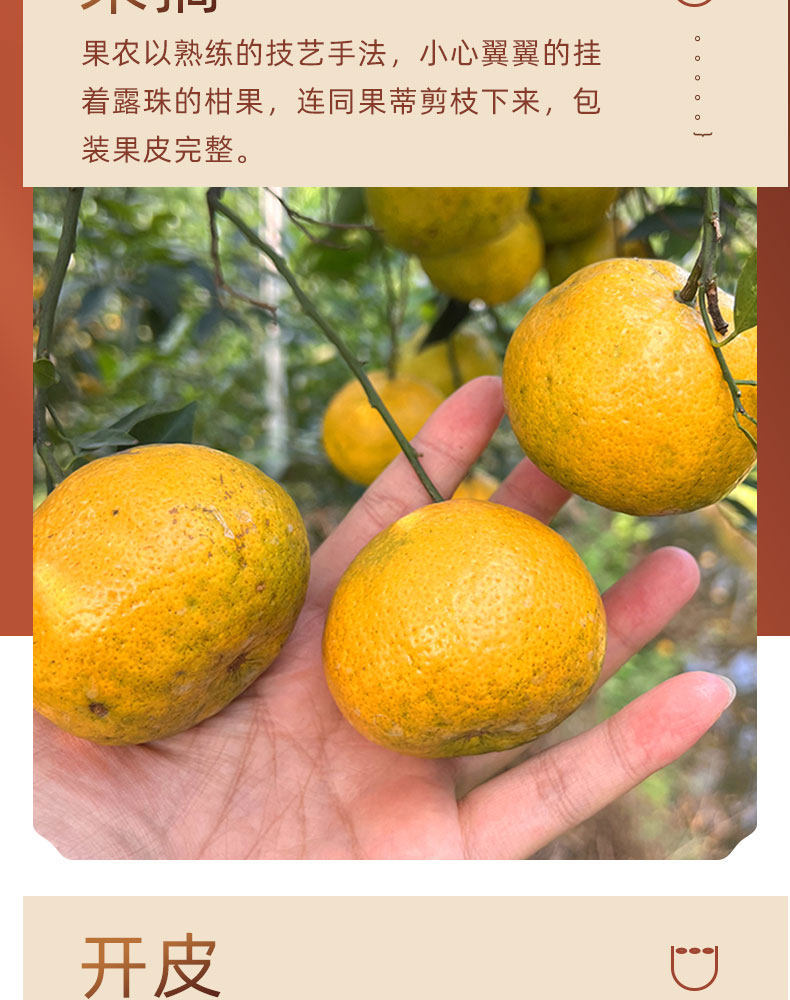 20 Year Xinhui Chenpi Dried Tangerine Peel Chen Pi 500g Aged Red Peel for Tea and Cooking quality and texture