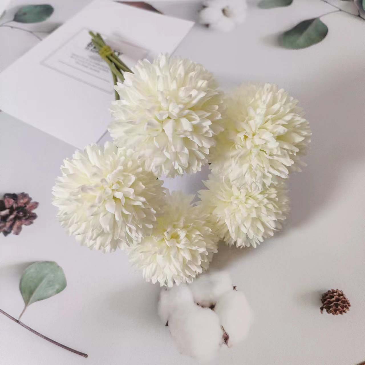 微信图片_20231116232641