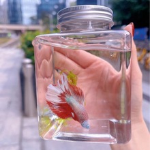 斗鱼杯塑料方形鱼缸摆摊网红罐罐公园夜市广场透明迷你微景观鱼缸