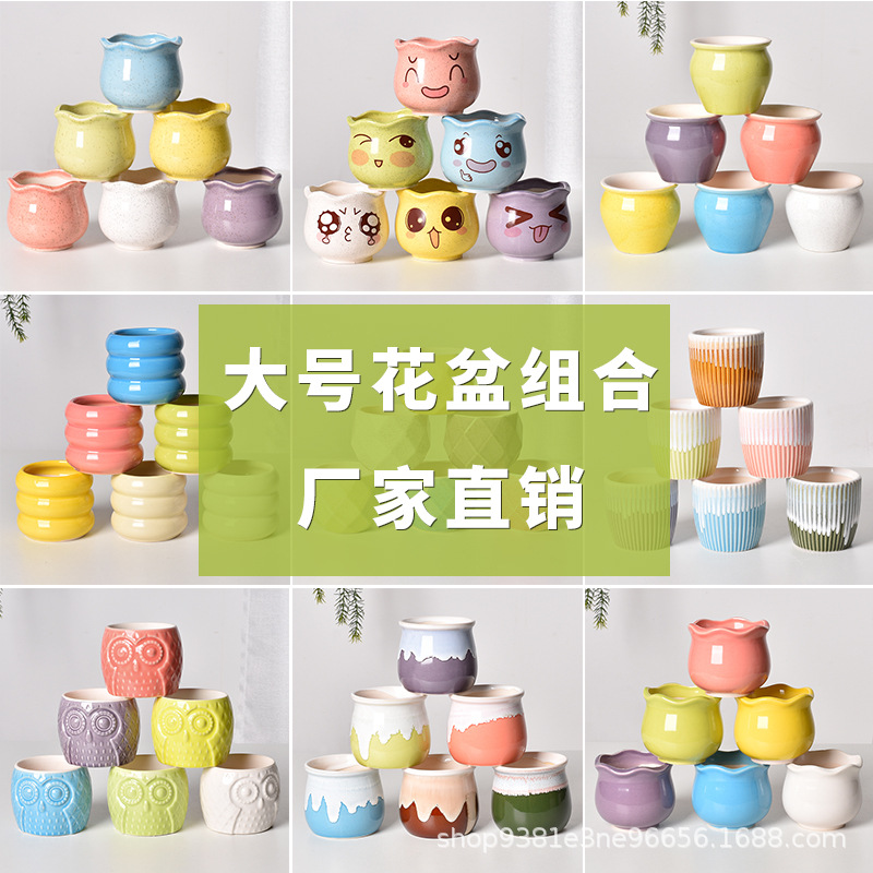 Fleshy Ceramic Pot Creative Mini Macaron Combination Plant Orchid Desktop Orchid Pot Amazon Cross-border Wholesale