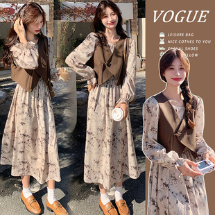 Breastfeeding Out Spring and Autumn 2024 New Ink Painting Light Mature Style New Chinese Style Buckle Vest Skirt Two-piece Set