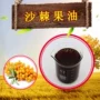 新疆品质提取沙棘沙棘油