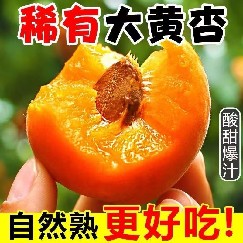 【顺丰发货】凯特大黄杏蜜杏非青杏子新鲜红杏酸杏绿杏水果代发