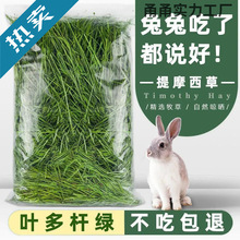 ʳÕĦĥʳò؈ɲݲݼZ