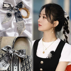 The Immortal Mockingbird: Retro French-style Silk Scarf Hairband, Small Long Narrow Necktie, Instagram-Style Hair Tie, Flowing Ribbon Hair Tie for Bags
