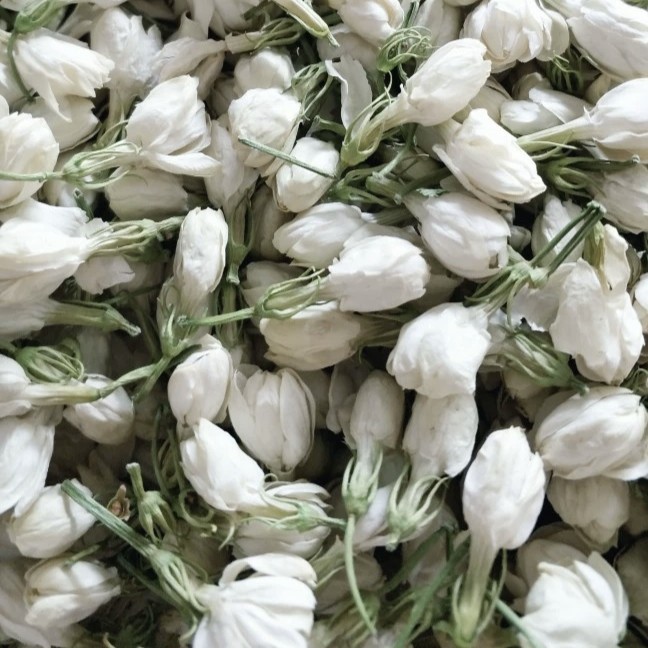 广西南宁横州市茉莉花产地直销，茉莉花中蕾，散装