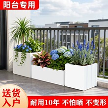 ˮ໨̲꿧ȏd⻨̘I־^Lθxۻ