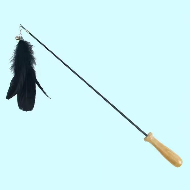 망원경 막대 검은 깃털 머리