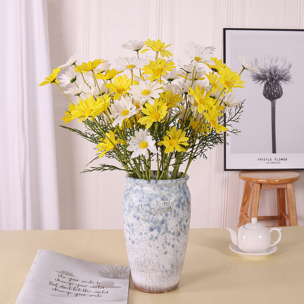 Simulation 5 Dutch chrysanthemums chamomile gyosenic daisy Posal…