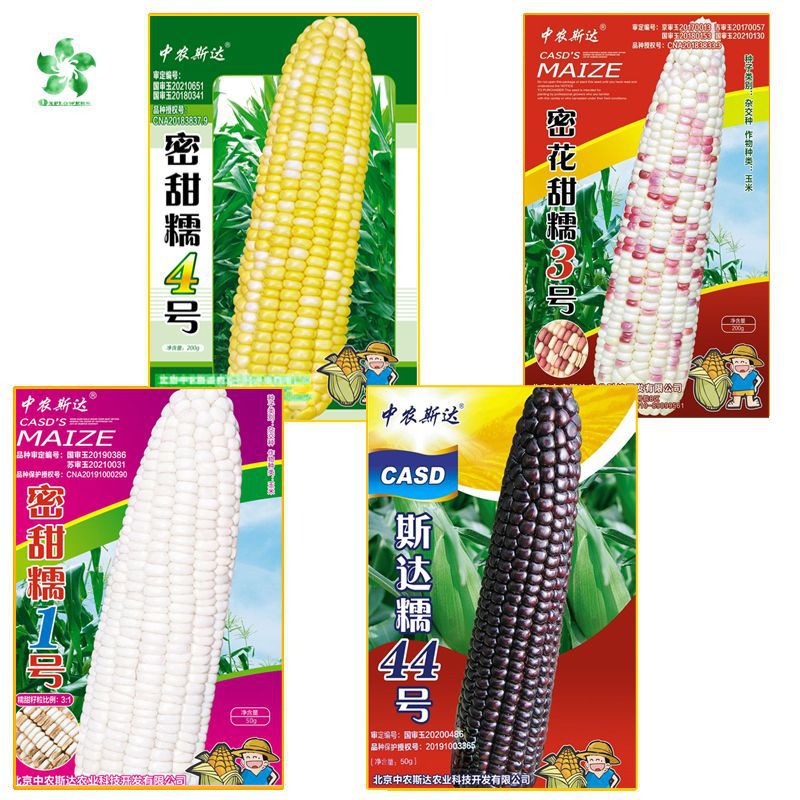 糯玉米种子水果玉米种籽大全香甜糯黑色彩色大田杂交审定种