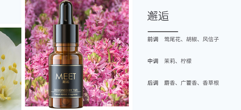 Car Perfume Indoor Car Aromatherapy Refill Liquid Household Essential Oil Cologne Ocean Flower Removal Odor Long-Lasting Light Fragrance