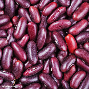 ����خa��ܿ�� ���϶� ��������녶�500gܿ����ȫ����s�Z