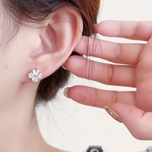 ���s������\���~�ݶ����316L�t���䓱��Wѩ������B�������