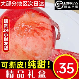 枇杷;柑桔;石榴