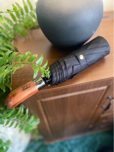 ����朽��̄Ռ�ľ��ȫ�Ԅ��ۯB��YƷ��Y�����L�����Ԅ����