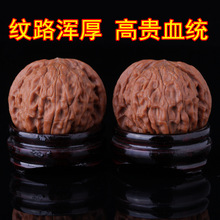 高山闷尖儿磨盘文玩麻核桃手玩把件正磨密纹矮桩狮子头精挑选配对