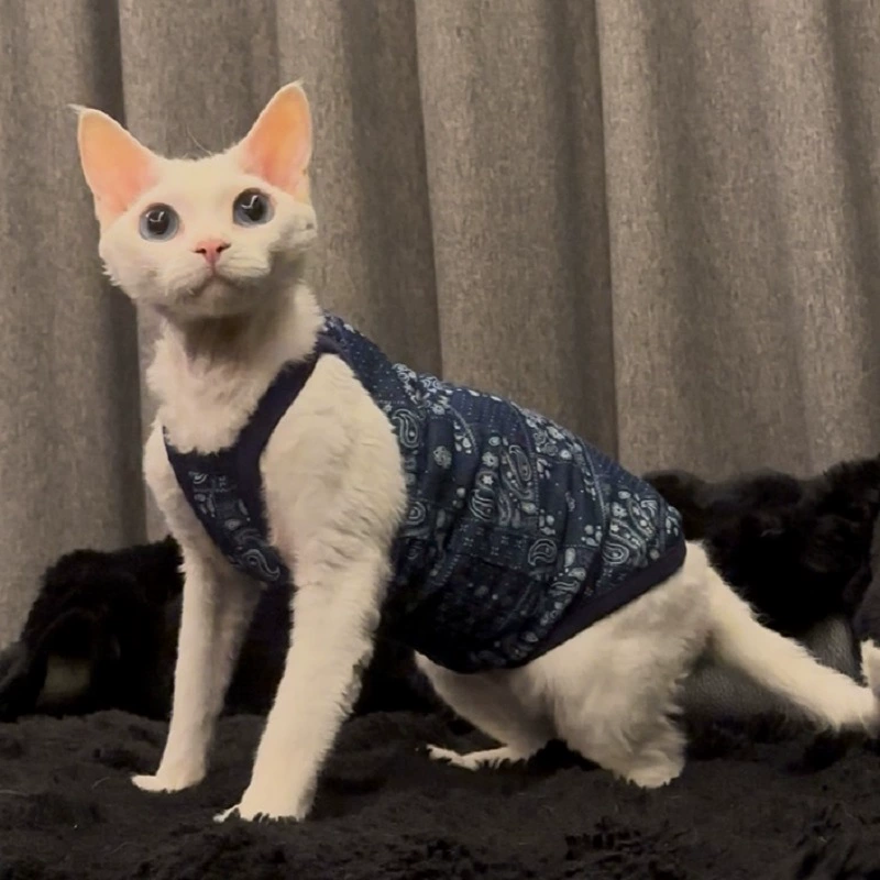 2025 новых летних безволосых кошачьих костюмчиков Devon для котят и кошек из хлопка, прохладные, дышащие, с короткими рукавами