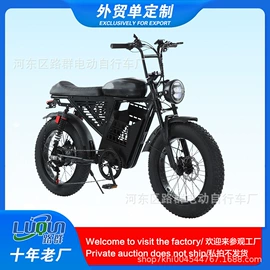 其他电动车;电动三轮车;电动自行车