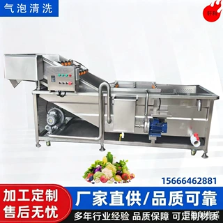 全自动气泡清洗机 果蔬 根茎叶 海鲜类 食品包装袋等多功能清洗机