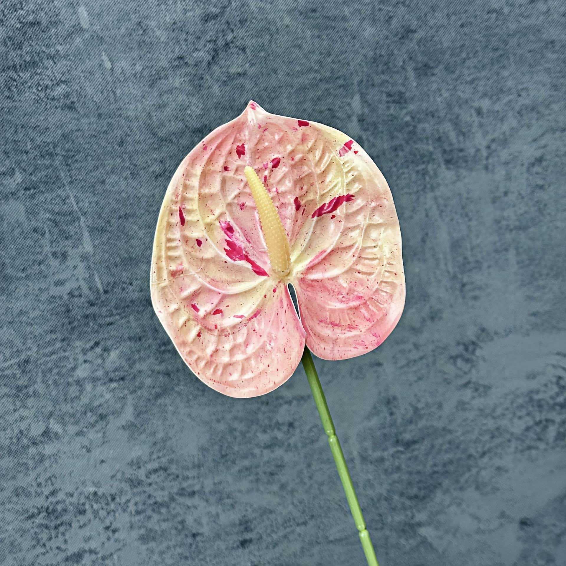 Decoración de Escenarios de Boda con Anturios Simulados, Decoración del Hogar, Accesorios de Fotografía, Adornos de Flores Artificiales en 3D para Venta al por Mayor