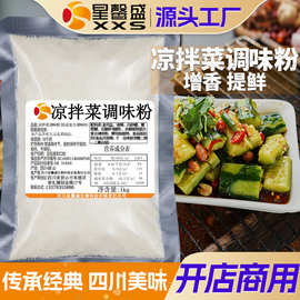 星馨盛 DS110凉拌菜调味粉 开店摆摊商用素菜荤菜调味品餐饮店调