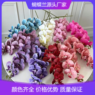 9�^�zƬ�����m���滨3D��ӡ�ָмٻ��m����Y��ˇ�廨�Ҿ��b�