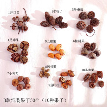 幼儿园手工制作天然松果橡果千纹果材料装饰干花圣诞节果子E18